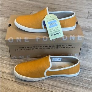 Tom's Clemente Sunflower Heritage Canvas